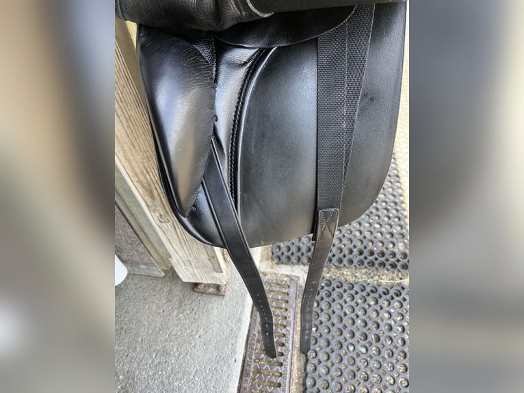 Dressursattel Stübben D Aramis 17,5"