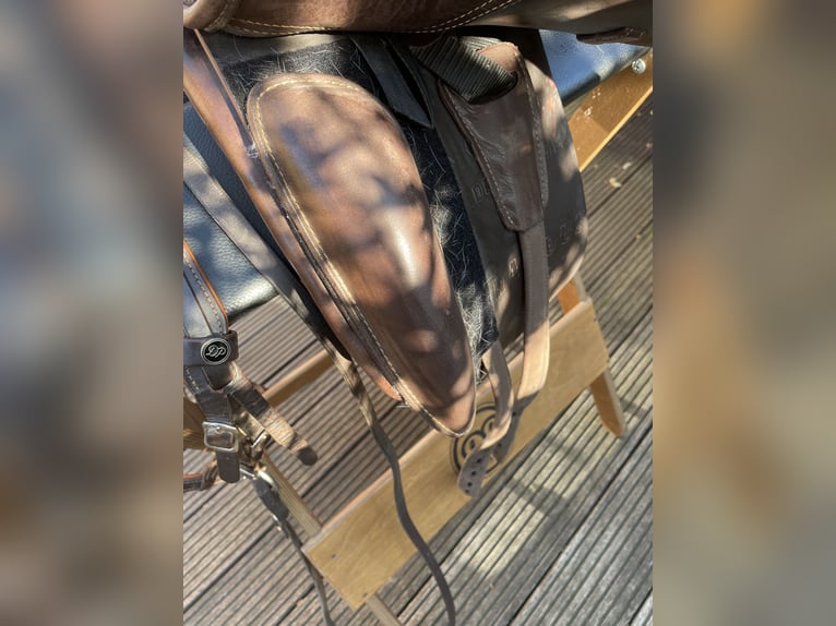 Dressursattel von DEUBER mit verstellbarer Kopfeisen, inklusive Zaumzeug & Gurt!  
