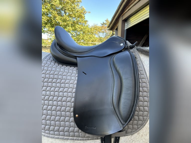 Dressursattel von Horsestar 17 Zoll 