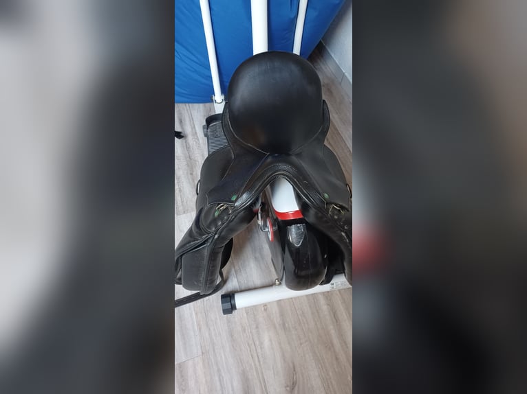 Dressursattel von Ludomar 