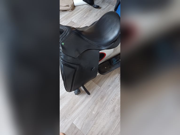Dressursattel von Ludomar 