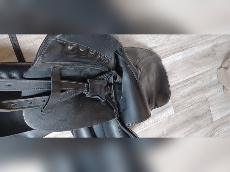 Dressursattel von Ludomar 