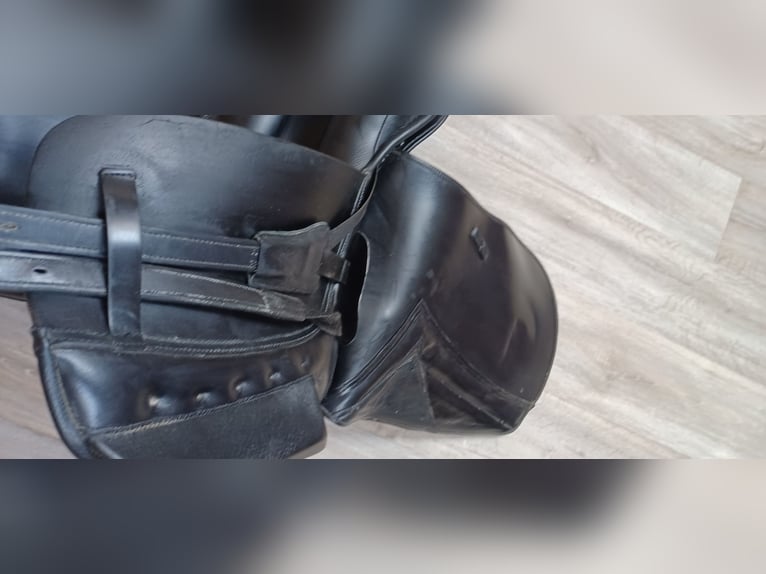 Dressursattel von Ludomar 