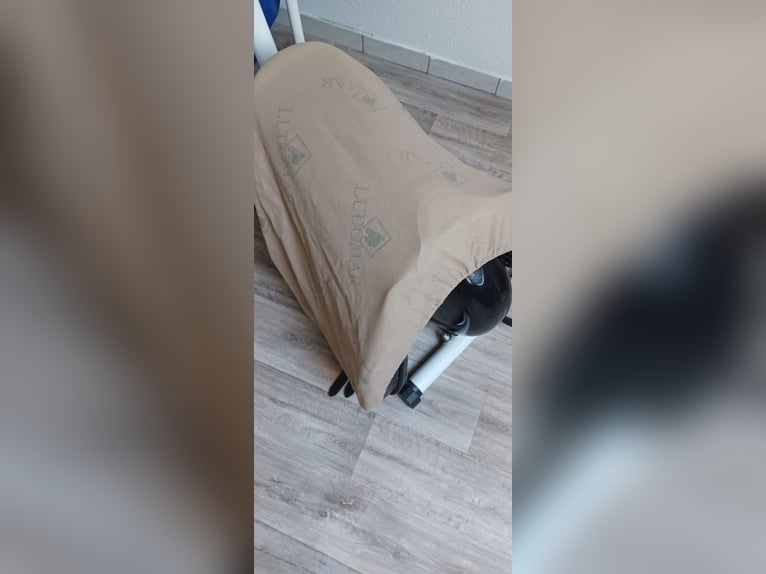 Dressursattel von Ludomar 