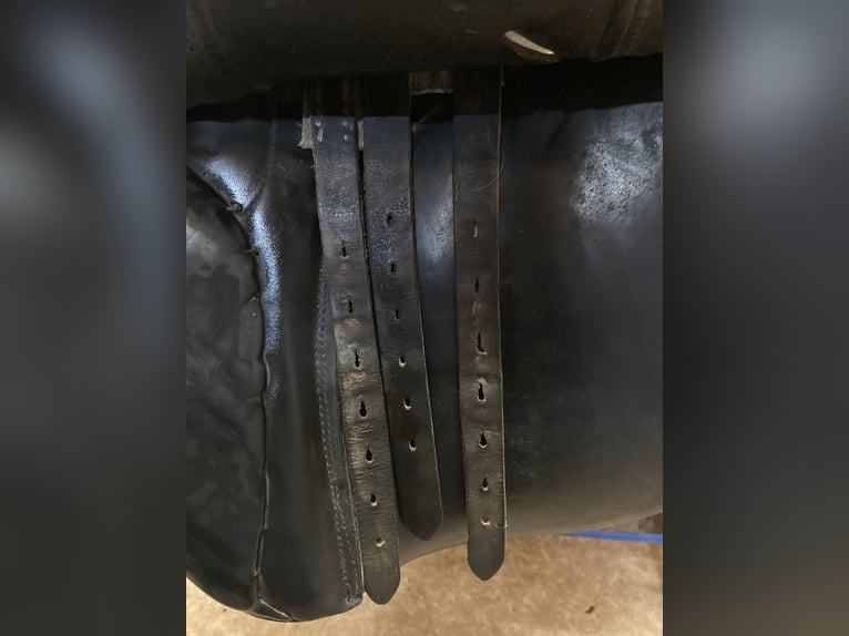 Dressursattel von P.A. Spirig Ch. Grossau