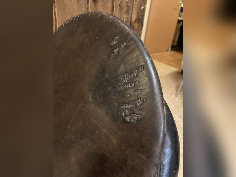 Dressursattel von P.A. Spirig Ch. Grossau