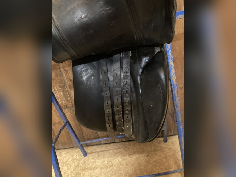 Dressursattel von P.A. Spirig Ch. Grossau