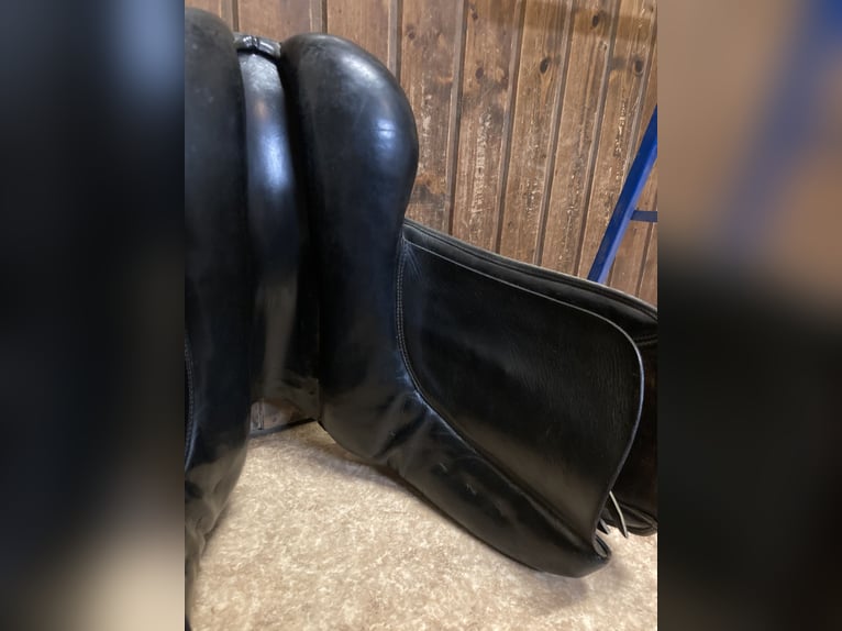 Dressursattel von P.A. Spirig Ch. Grossau