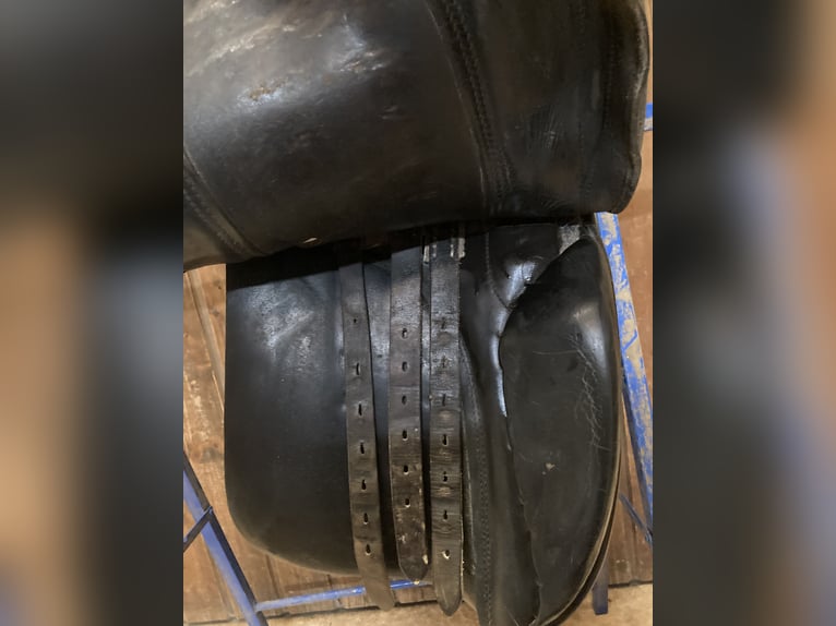 Dressursattel von P.A. Spirig Ch. Grossau