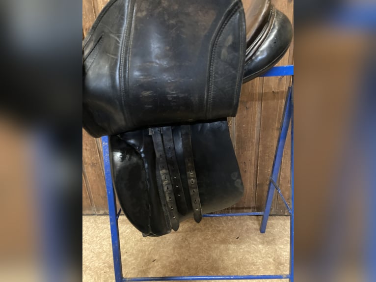 Dressursattel von P.A. Spirig Ch. Grossau