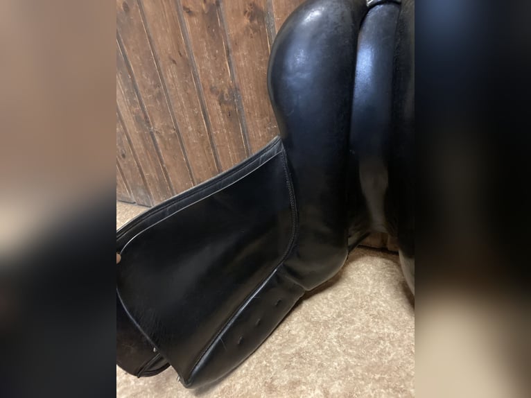 Dressursattel von P.A. Spirig Ch. Grossau