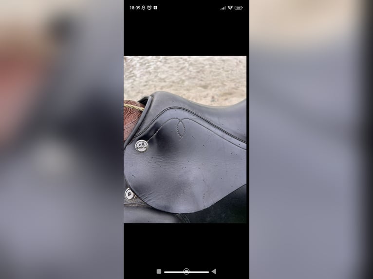 Dressursattel von Prestige 
