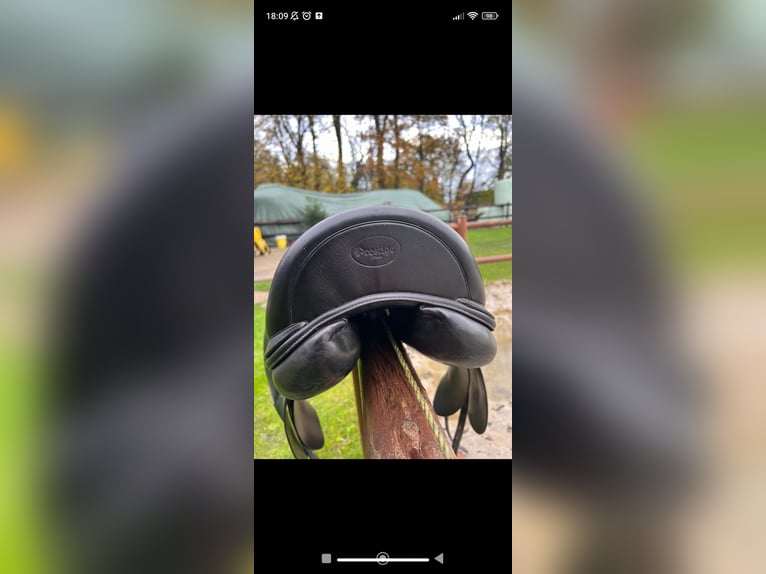 Dressursattel von Prestige 