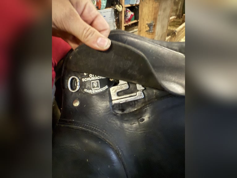 Dressursattel von Sattlerei Otto Schuhmacher Marienheide zu verkaufen