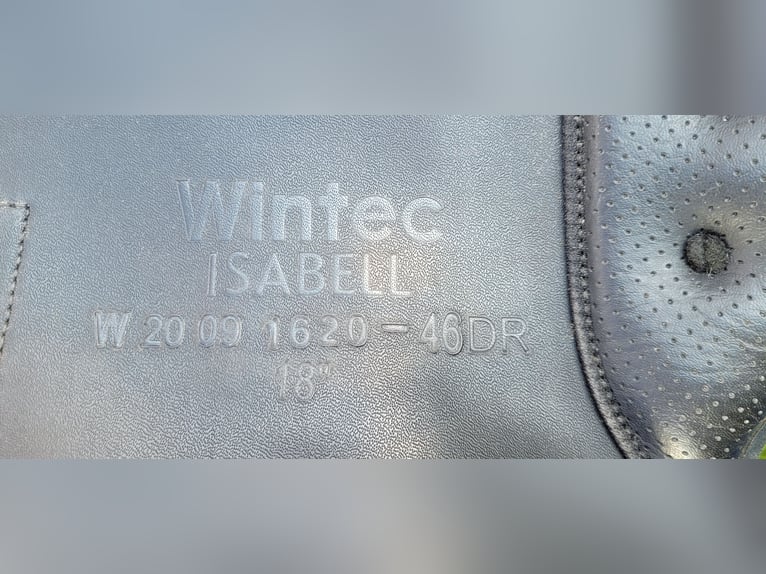 Dressursattel Wintec Isabell Werth HART 18 Zoll