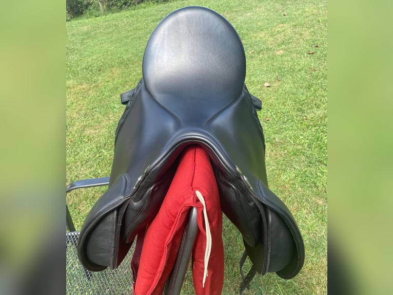 Edler Dressursattel neu – Dressage Andaluz Premium Line (17,5")