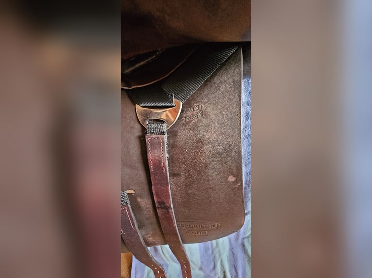 Euroriding ACHAT Dressur 17" 34er Kammer