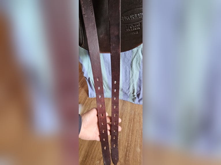 Euroriding ACHAT Dressur 17" 34er Kammer