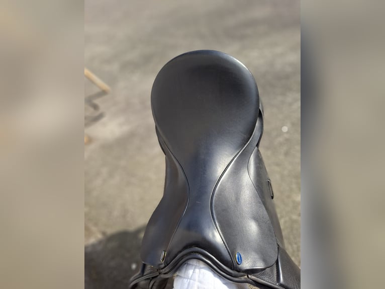 Euroriding Diamant VS 18" Spring Tree flexibel points 