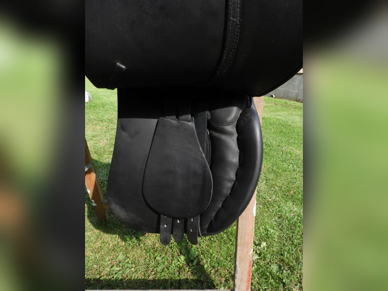 Euroriding Diamant VS 18" Spring Tree flexibel points 