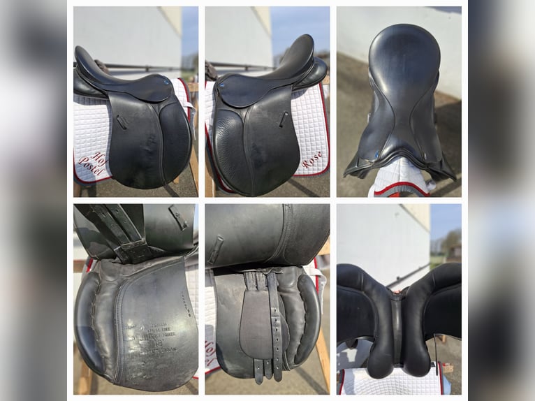 Euroriding Diamant VS 18" Spring Tree flexibel points 