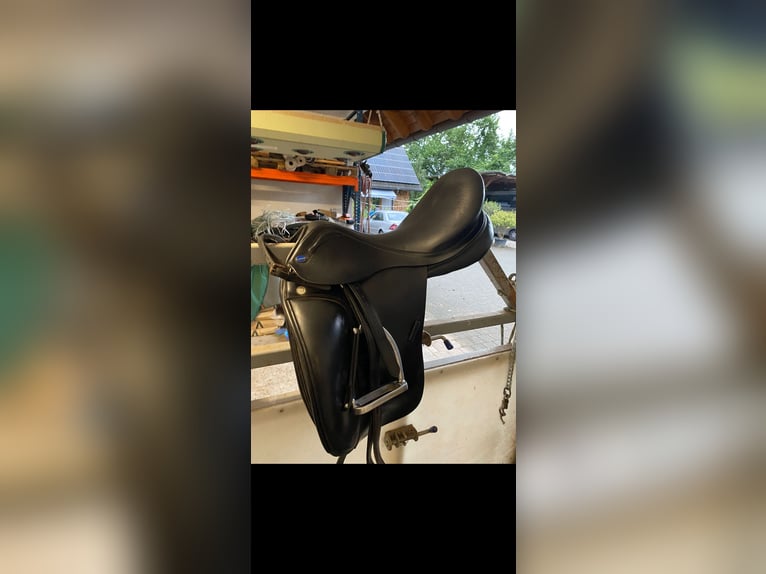 Euroriding Emilio 18“