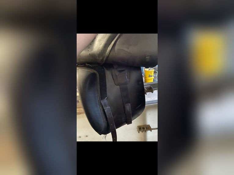 Euroriding Emilio 18“