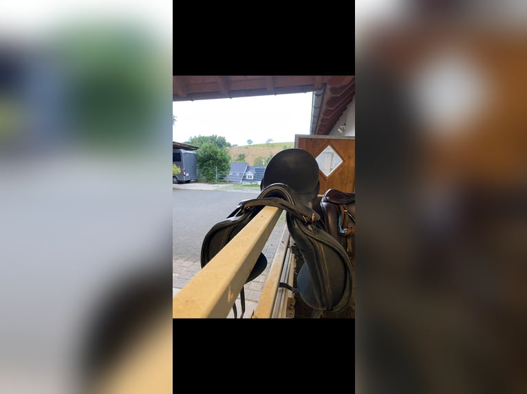 Euroriding Emilio 18“