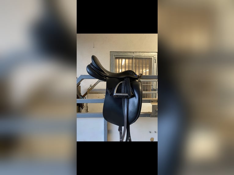 Euroriding Emilio 18“