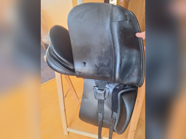 Euroriding Emilio (Prestige)