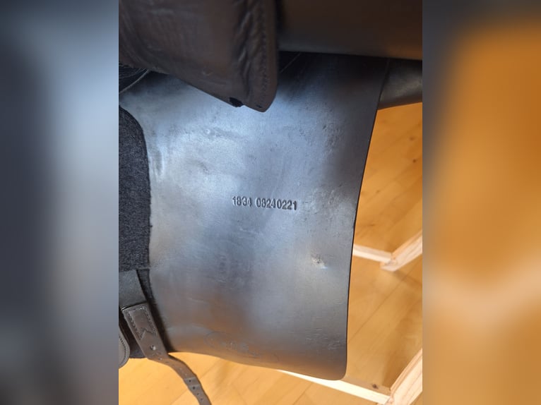 Euroriding Emilio (Prestige)