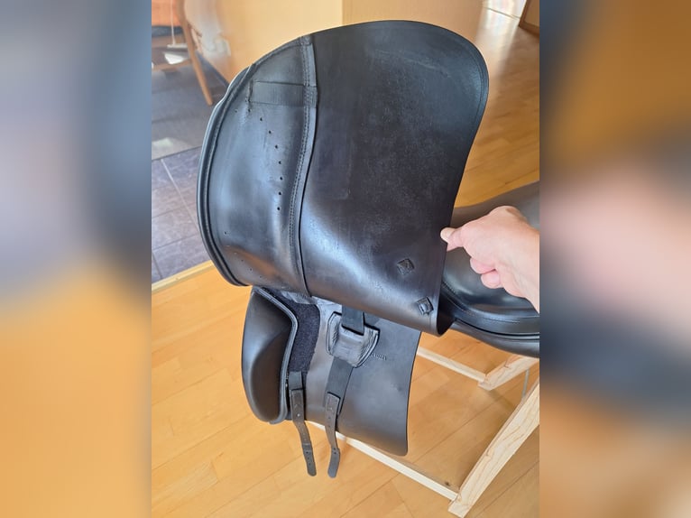 Euroriding Emilio (Prestige)