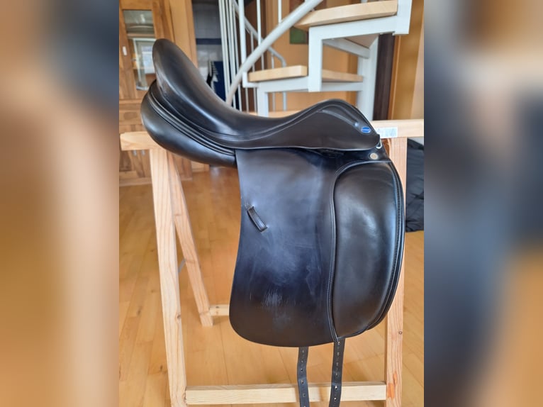 Euroriding Emilio (Prestige)