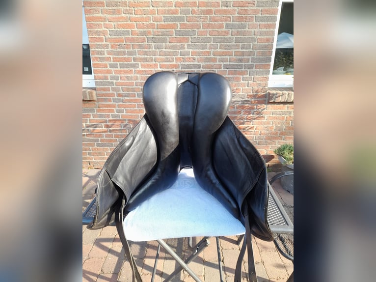 Fichtbauer Dressursattel PAURA KCR 18,5. 2012. 05 75 BI85