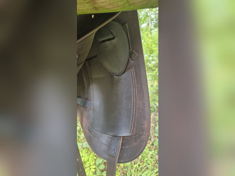 Gebrauchter Prestige Dressursattel ( X‑D2 K Free)