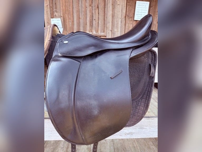 Hidalgo Venice 18' (Lederbaum)