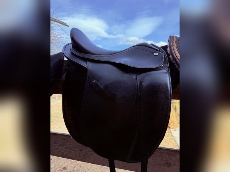 Hidalgo Venice 18' (Lederbaum)