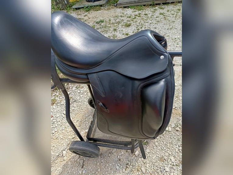 Hochwertiger CWD Dressursattel SE08 – 17,5" – Baujahr 2012– Top Zustand!