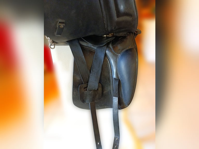 HORKA Amohn, Dressursattel, Pony, Pferd, 17"