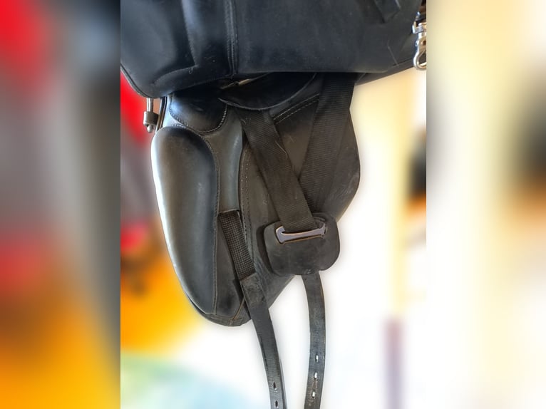 HORKA Amohn, Dressursattel, Pony, Pferd, 17"