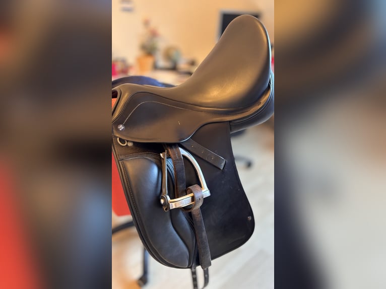 Horse Star Economical Dressur Sattel, GAP-Baum, 17,0“, K+2