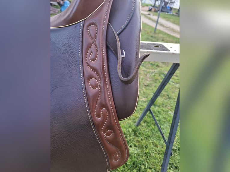 IBERO Dressage Andaluz