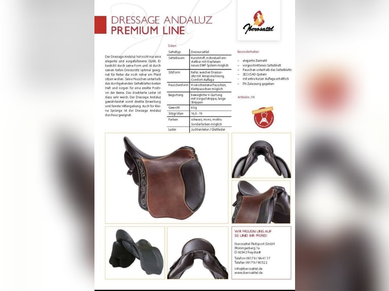 IBERO Dressage Andaluz