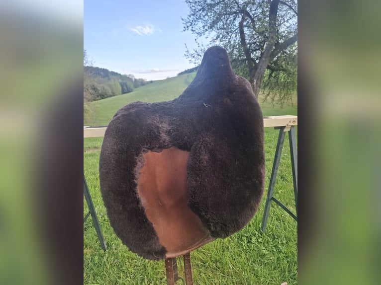 IBERO Dressage Andaluz