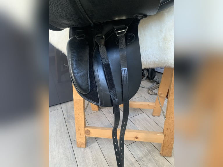 Kent & Masters Dressursattel 17,5 Zoll 