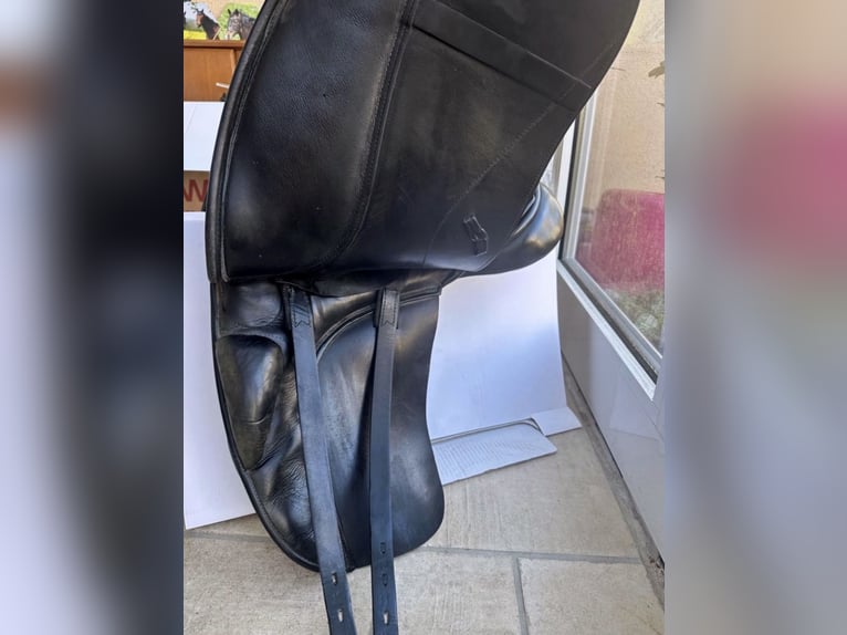 Kentauer Medea 17,5“