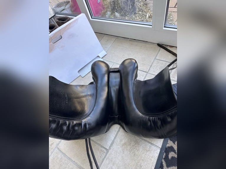 Kentauer Medea 17,5“