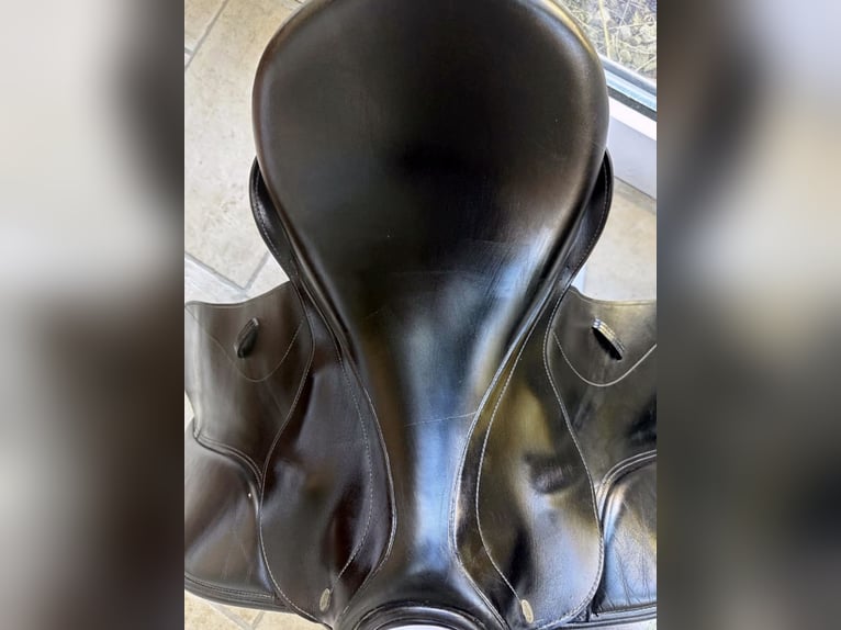 Kentauer Medea 17,5“