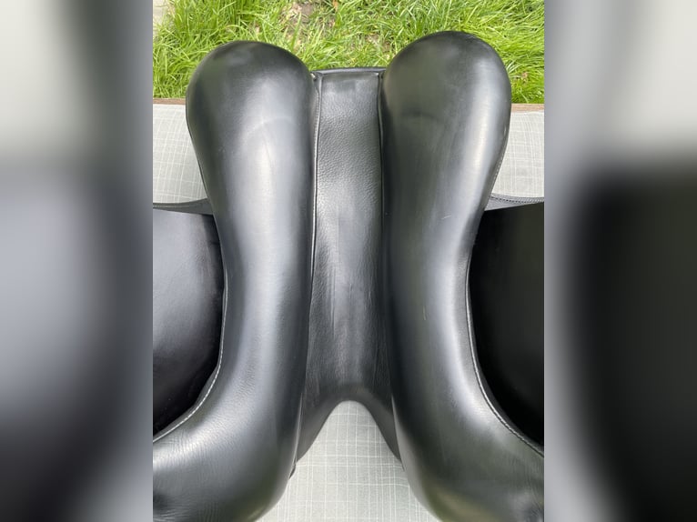 Kentaur Elektra Dressursattel 17,5"