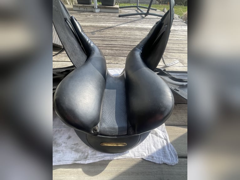 Kentaur Thetis 17,5 Zoll